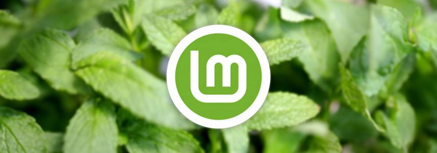 Linux Mint 22 安装界面